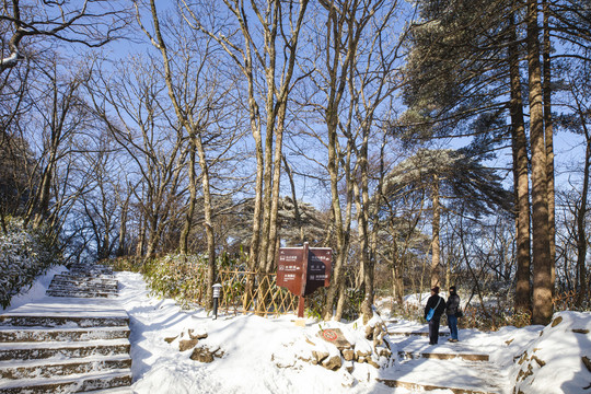 黄山