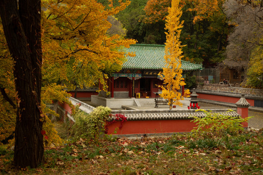 济南灵岩寺地藏殿