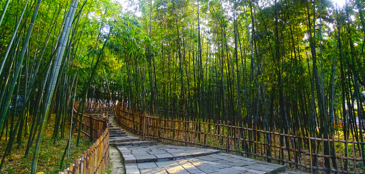 竹子园林
