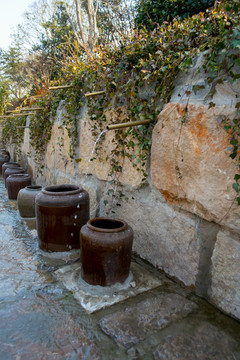 水坛园林小景