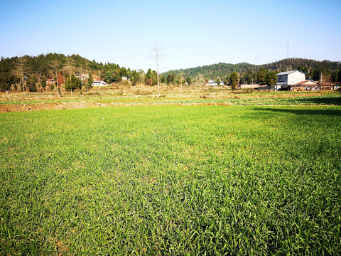 山区田园