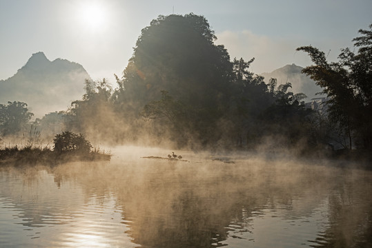 冬日湿地晨雾