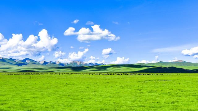 宽幅风景