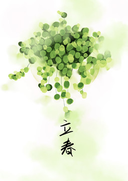 水彩24節(jié)氣小清新植物立春插畫(huà)