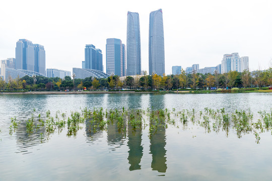 成都金融城建群风光