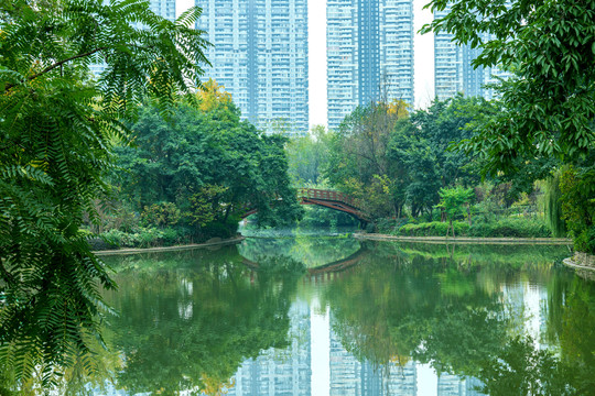 成都世纪城天鹅湖风景