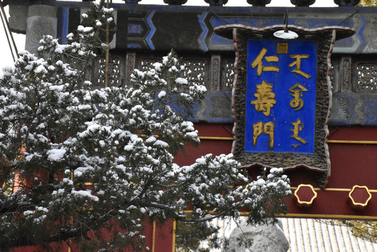 颐和园雪景