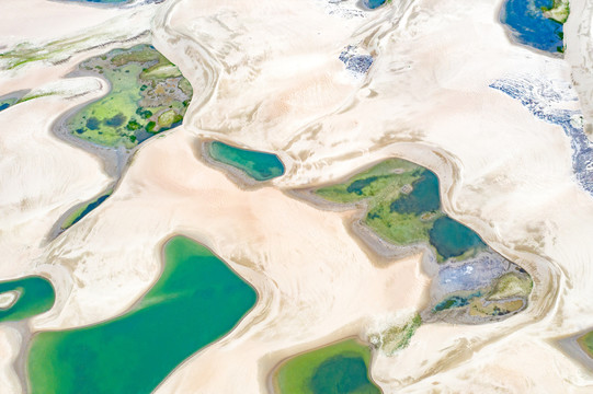 西藏阿里地区马泉河湿地