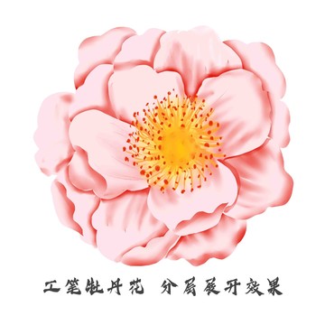 手繪鮮花