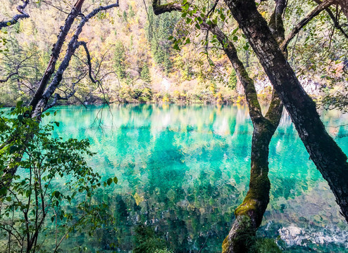 九寨美景