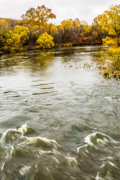 秋季河流