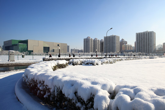 雪景