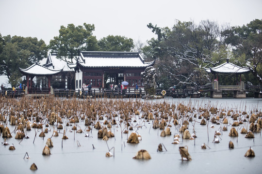 杭州西湖小瀛洲雪韵