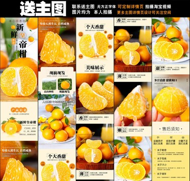 新鮮皇帝柑