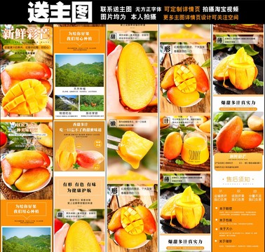 新鮮彩芒