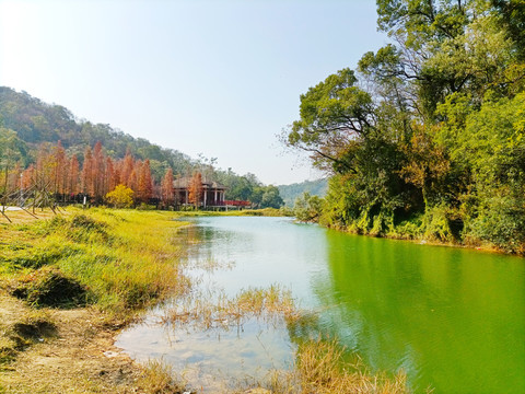 涧畔风景