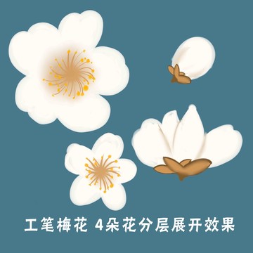 手绘梅花