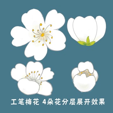 手绘花