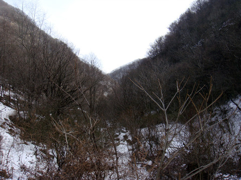 秦岭雪景