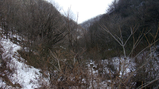 秦岭雪景