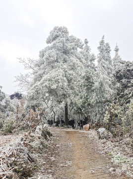 冰雪冰挂