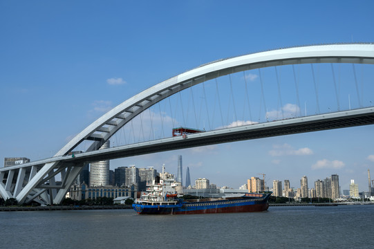 上海黄浦江卢浦大桥
