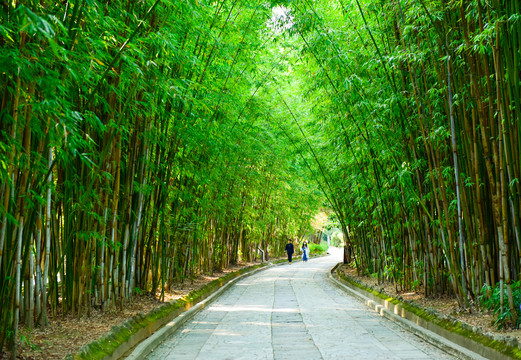 竹林景观路