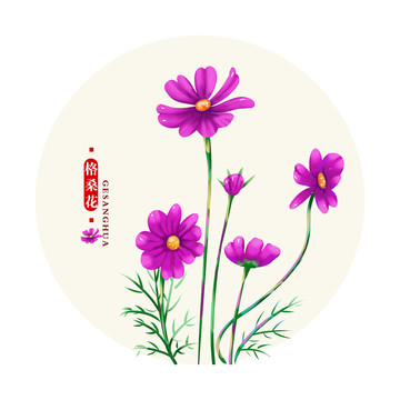 格桑花