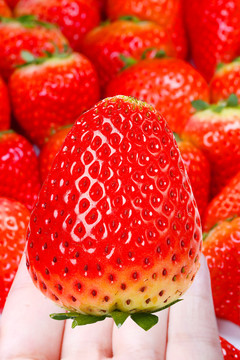 99草莓