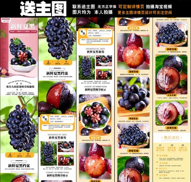 新鮮夏黑