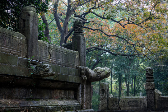 南京明孝陵石刻钟山风景区秋景