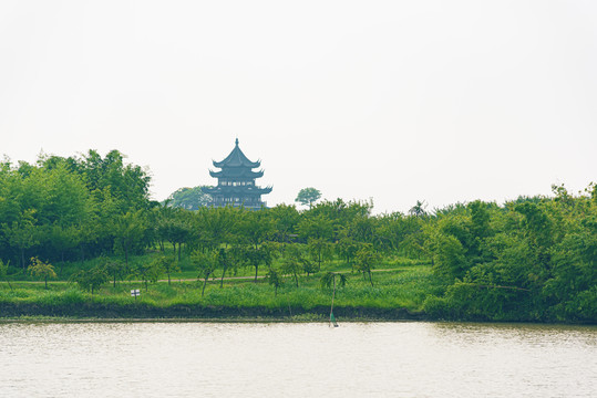 海湾国家森林公园