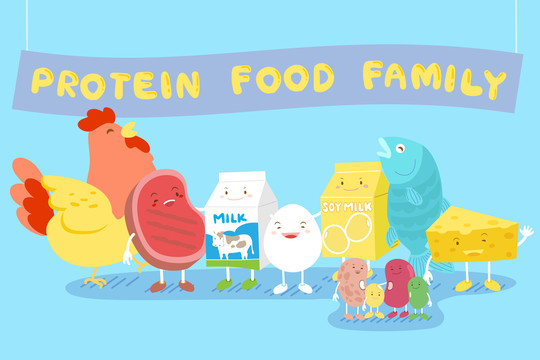 蛋白质食物创意设计插图
