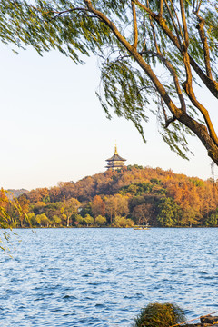 冬天的西湖风景