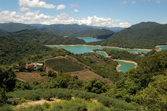 石鼎千岛湖