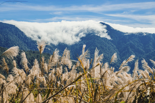 高山云海