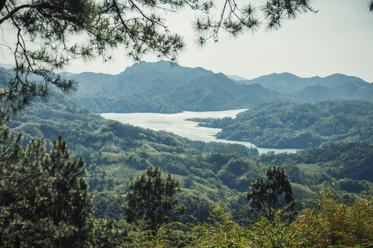 台湾森林景观