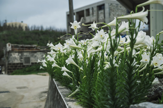 赤马滩