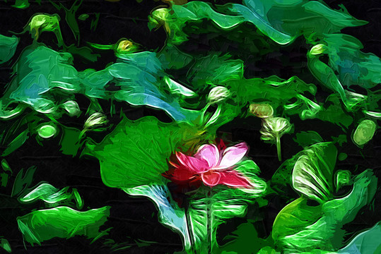 荷花油畫