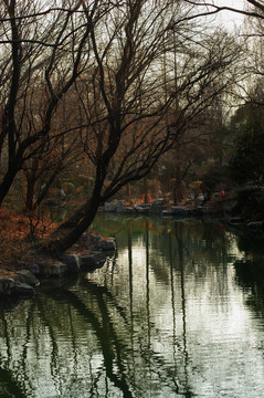 大明湖风景