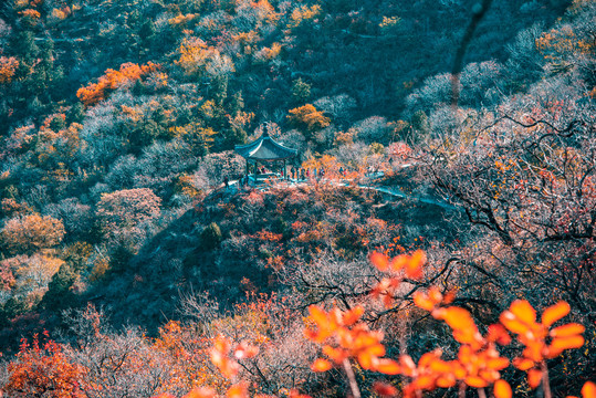 秋天香山