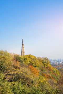 杭州西湖景区宝石山保俶秋景