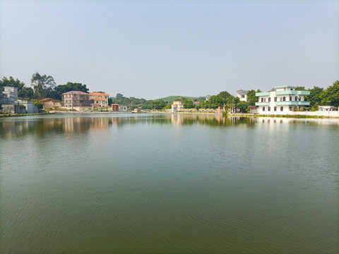 鱼塘风景