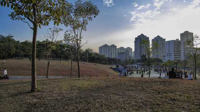 远眺深圳的建筑