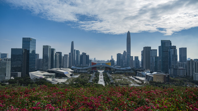 远眺深圳市中心建筑