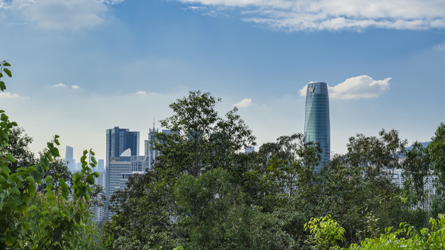 远眺深圳市中心建筑