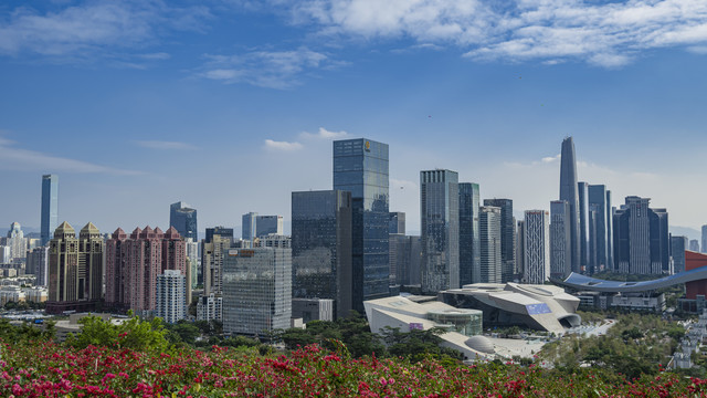 远眺深圳市中心建筑