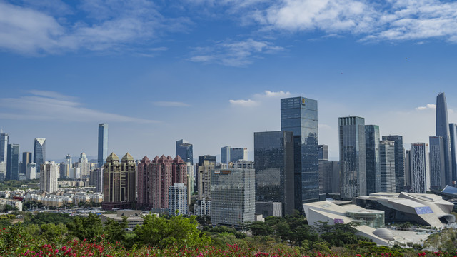 远眺深圳市中心建筑