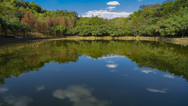 莲花山公园的湖水