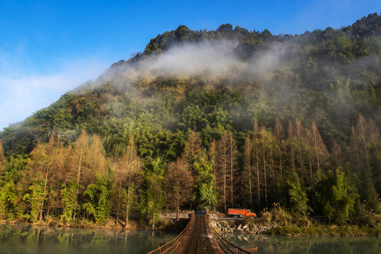 秋天1彩林1山村1吊桥1植被